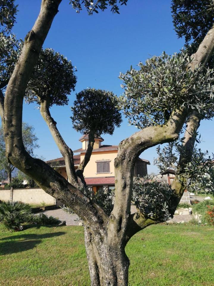 Ponte Vestilli B&B Limatola Luaran gambar